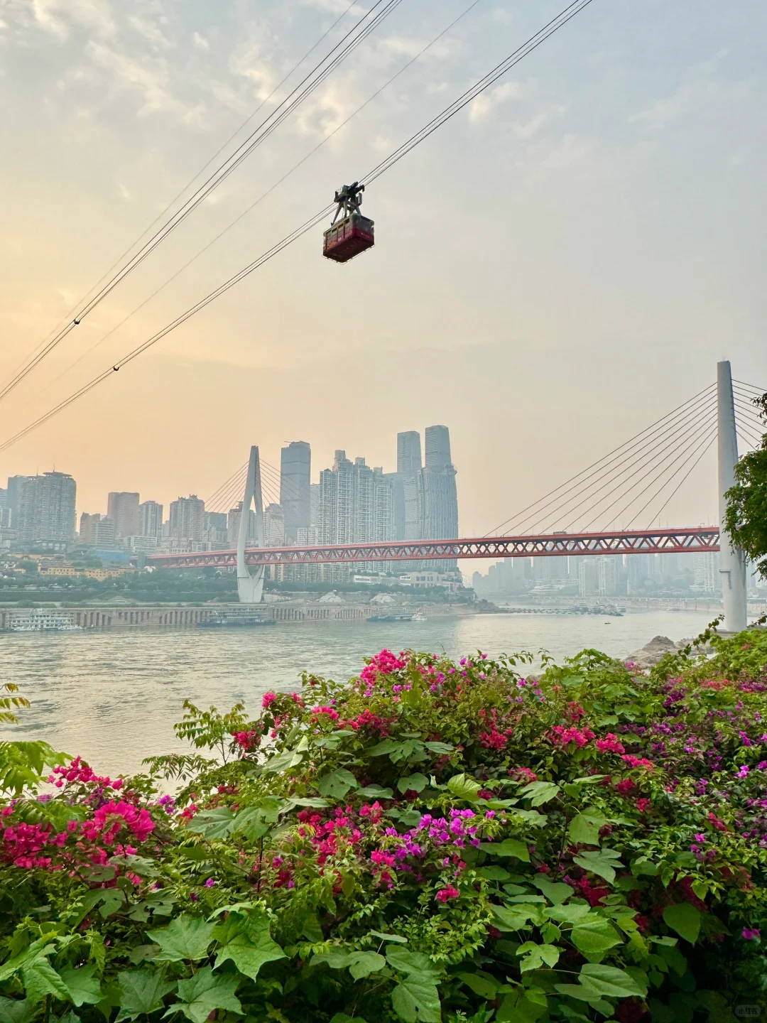来重庆旅游，一定要留一天给南滨路！！！