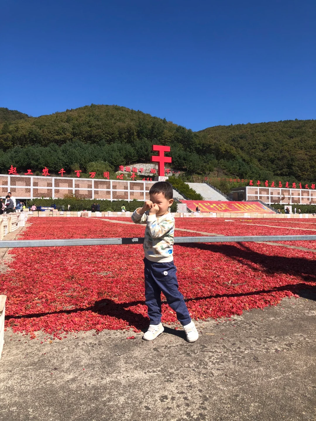 凤城大梨树·一日遛娃