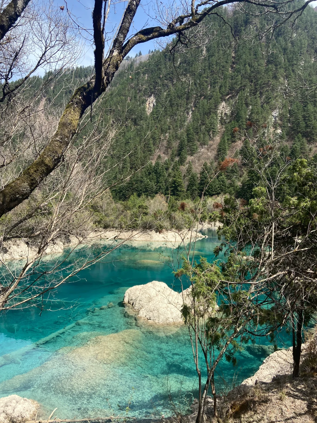 知道九寨沟美，但是……