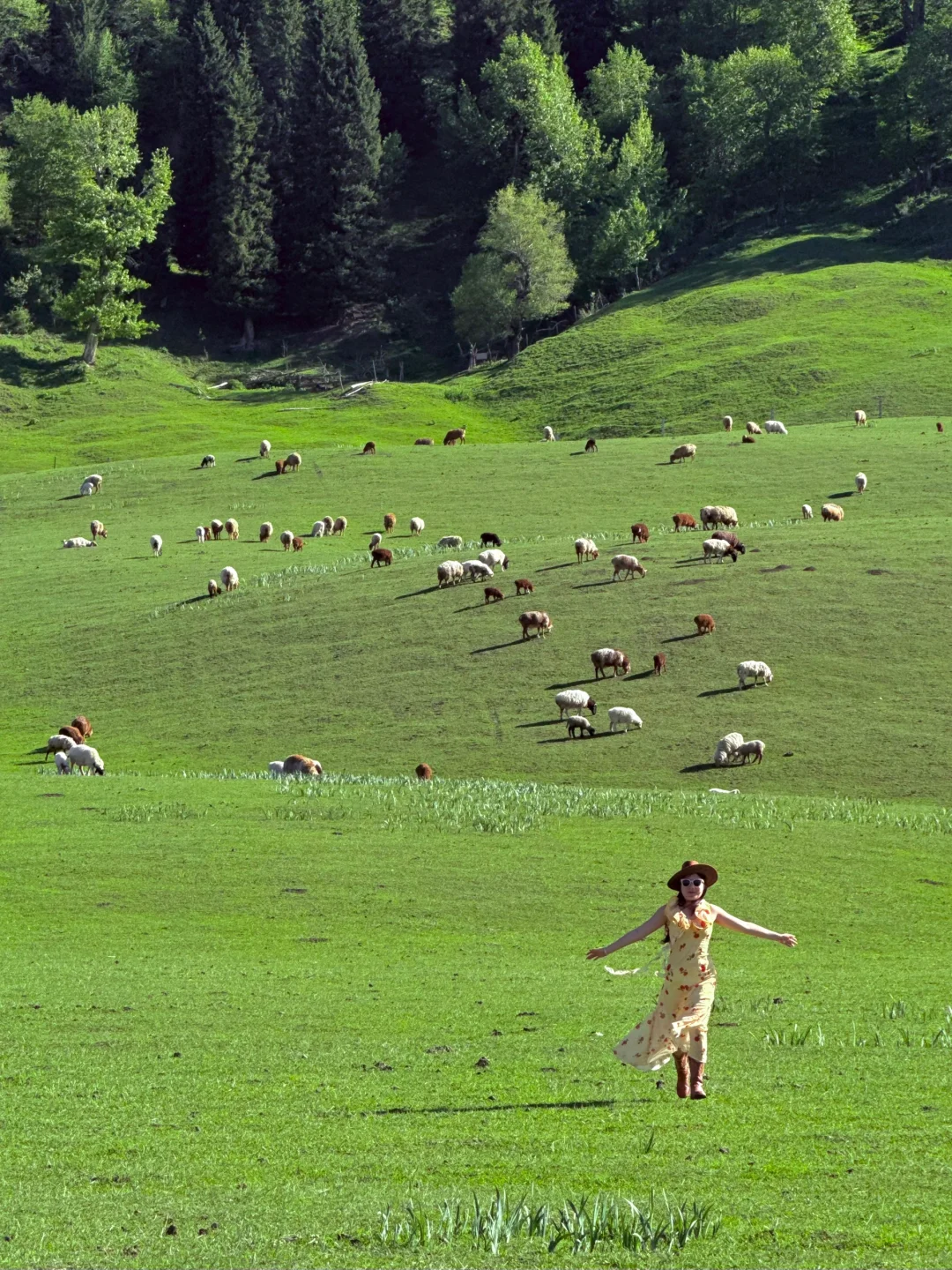 Live图的意义，我终于找到了梦中的那片草原