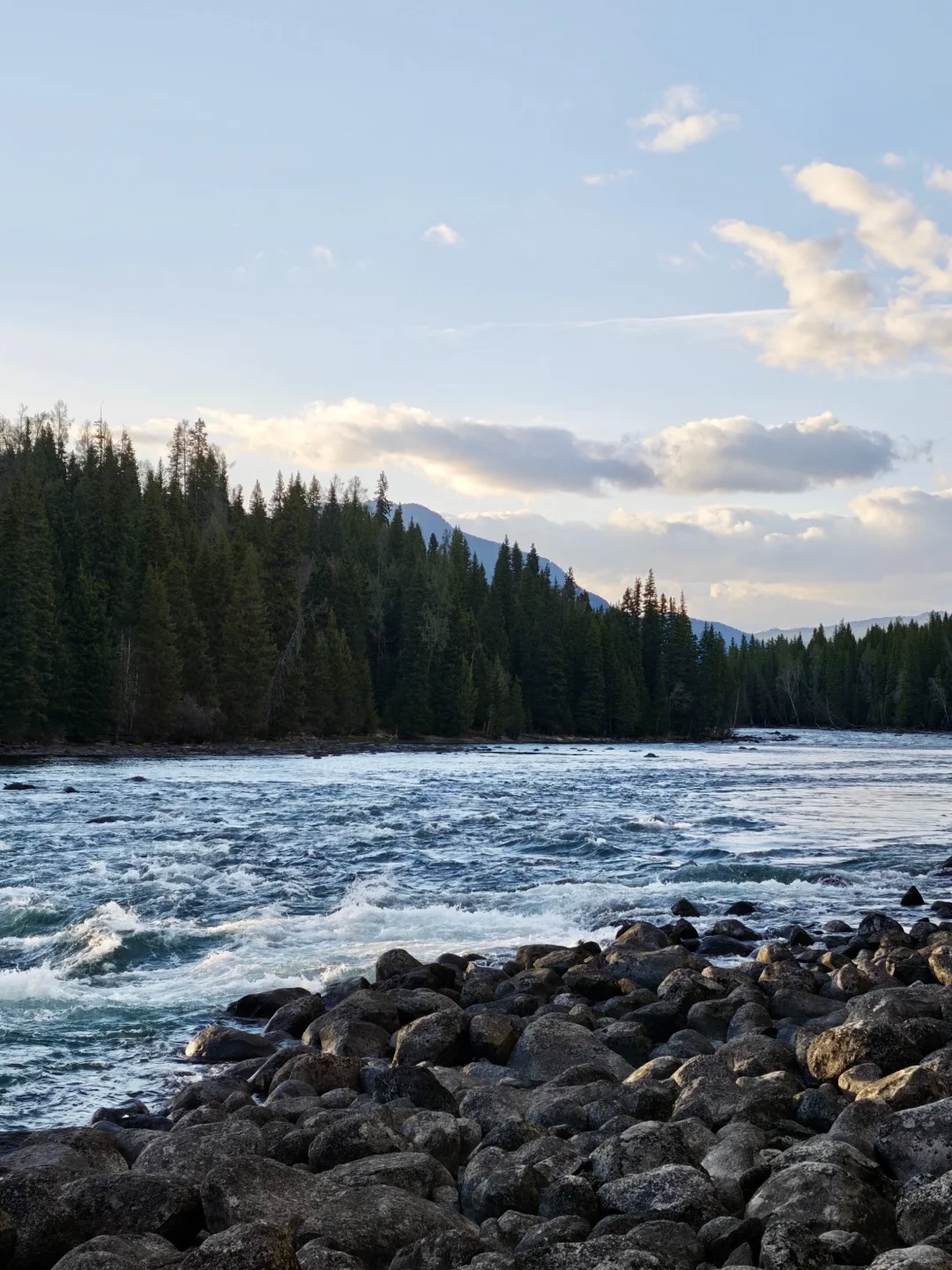 5月喀纳斯真实现状‼️别再问值不值得去啦
