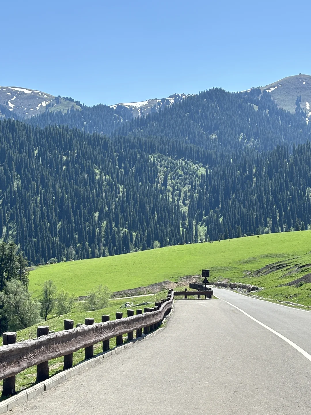 广东出发想去伊犁的可以借鉴！