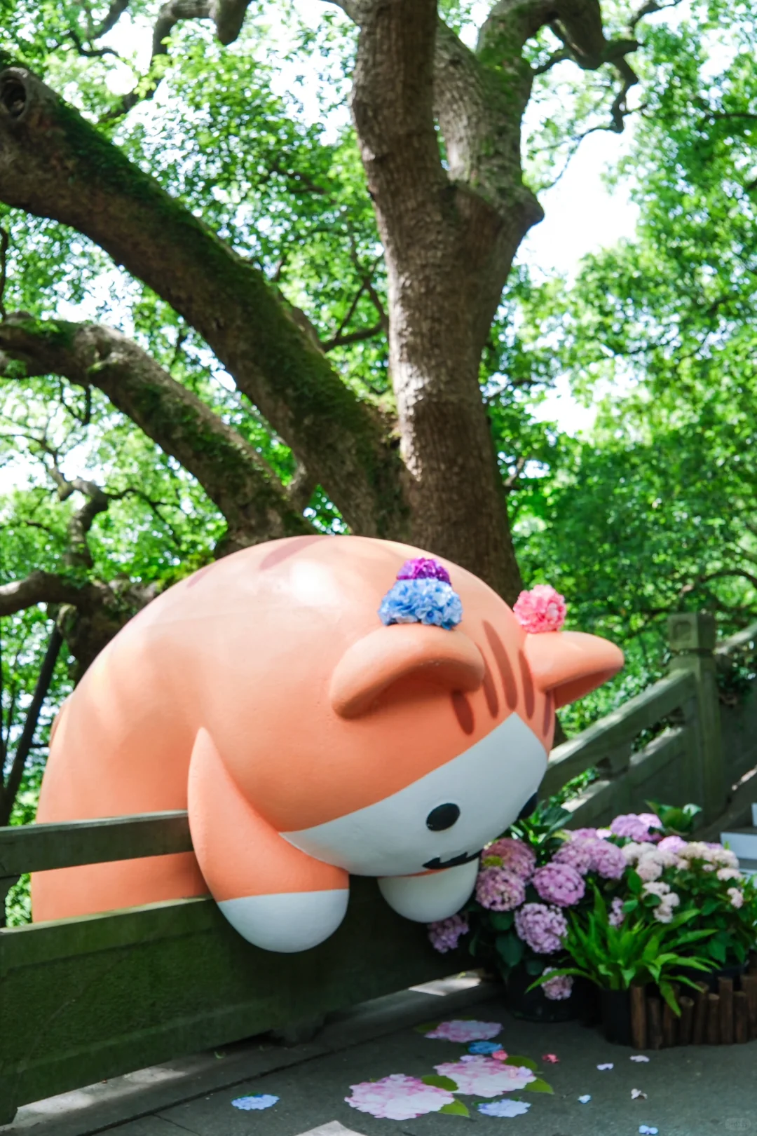 今年的绣球花展，吴山天风赢麻了！🌸