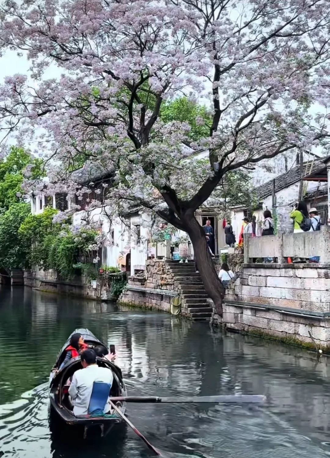 【跟着唐诗去旅行】李白篇3