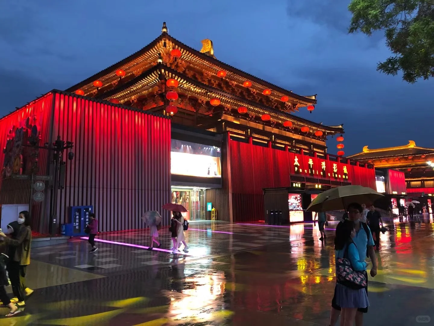 今天来敦煌了！好好看！！