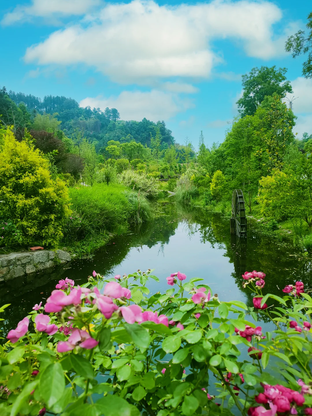 ⌈桐子花暴雪⌋限时降临！闯入白月光的世界