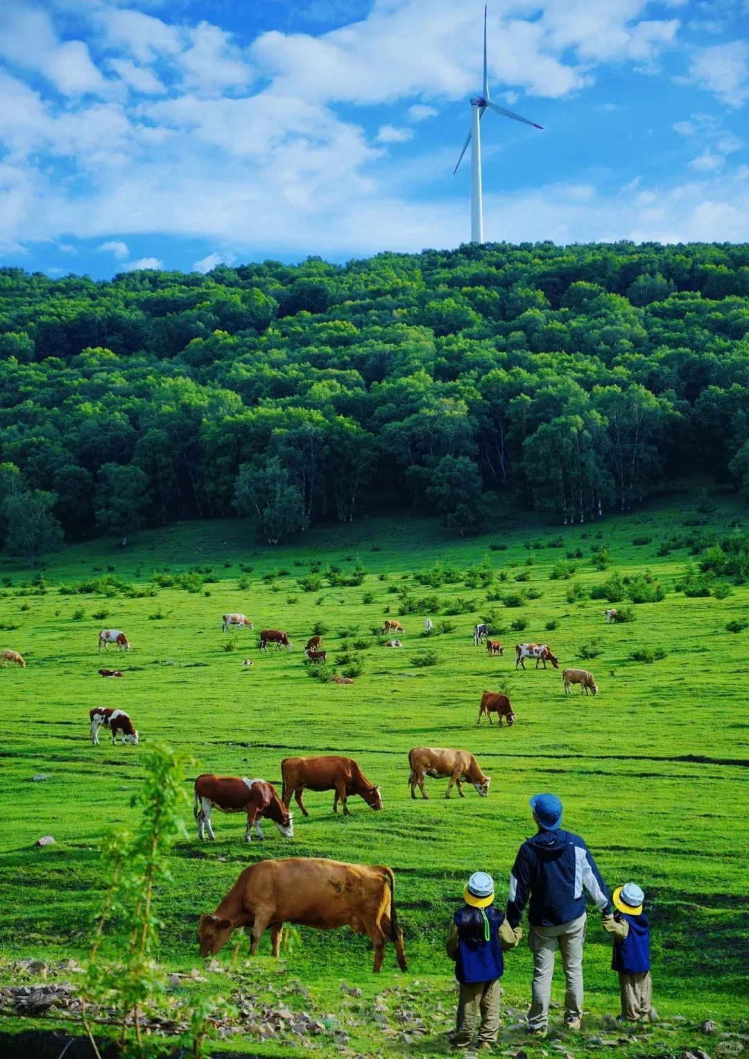 📍5.20北戴河已回。。😭我是真的崩溃了