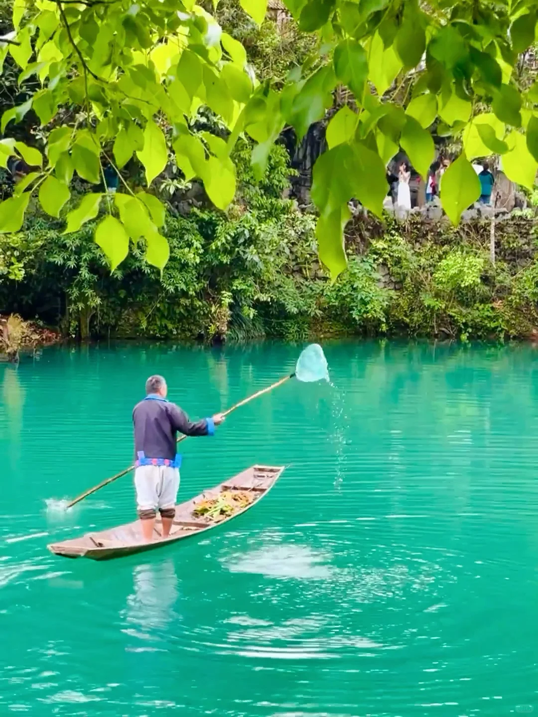 本以为崇左很适合遛娃了，直到去了小七孔！