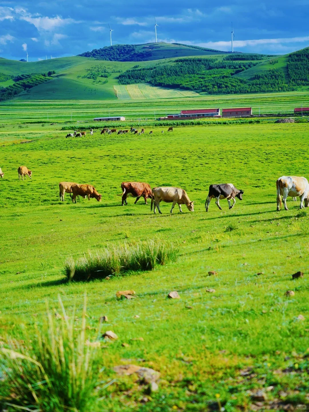 📍5.20北戴河已回。。😭我是真的崩溃了