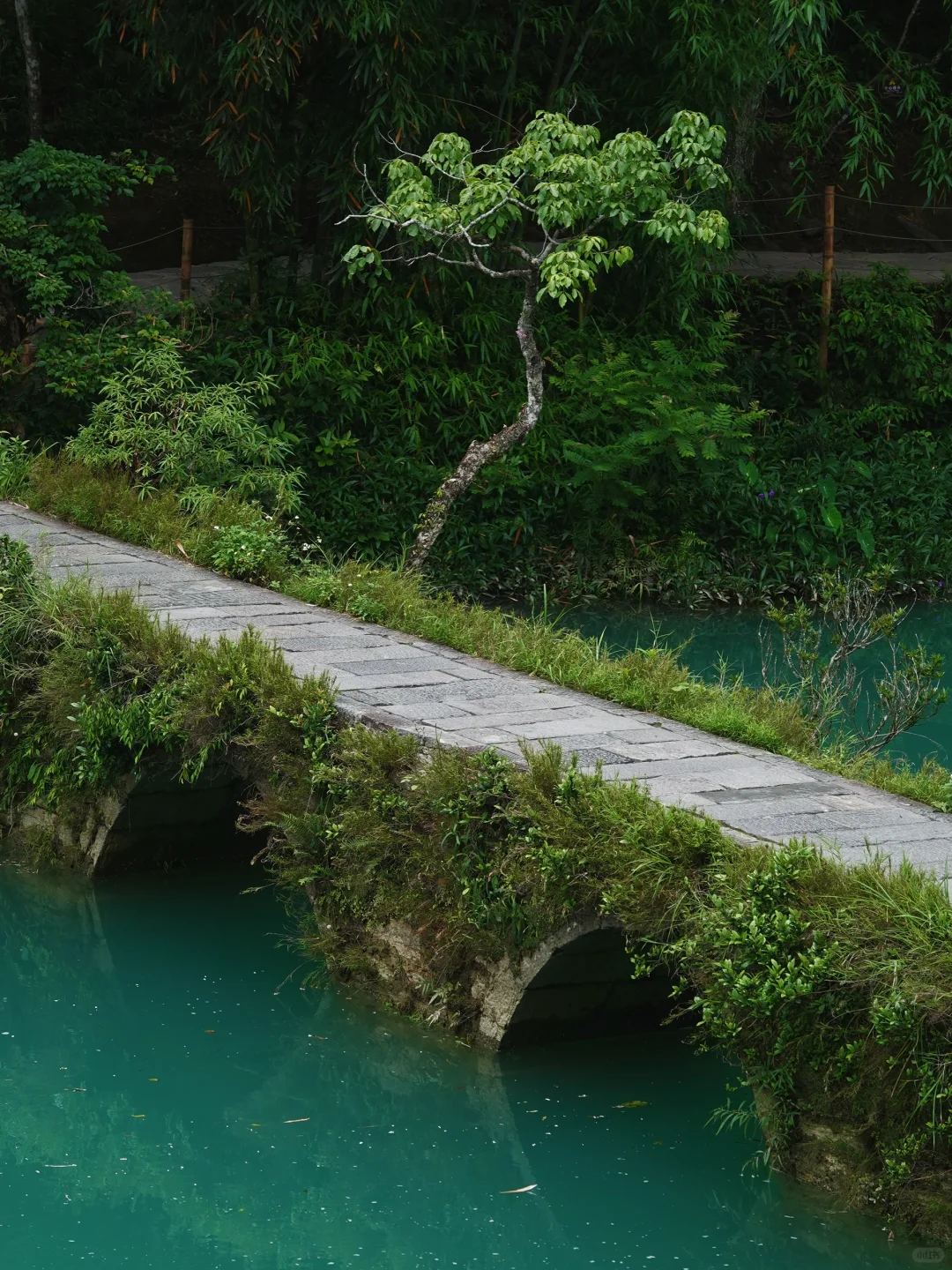 拍不全小七孔拍拍瀑布也不错