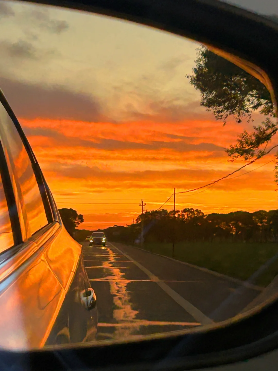 🌟【逃离城市喧嚣！张北草原治愈系秘境】