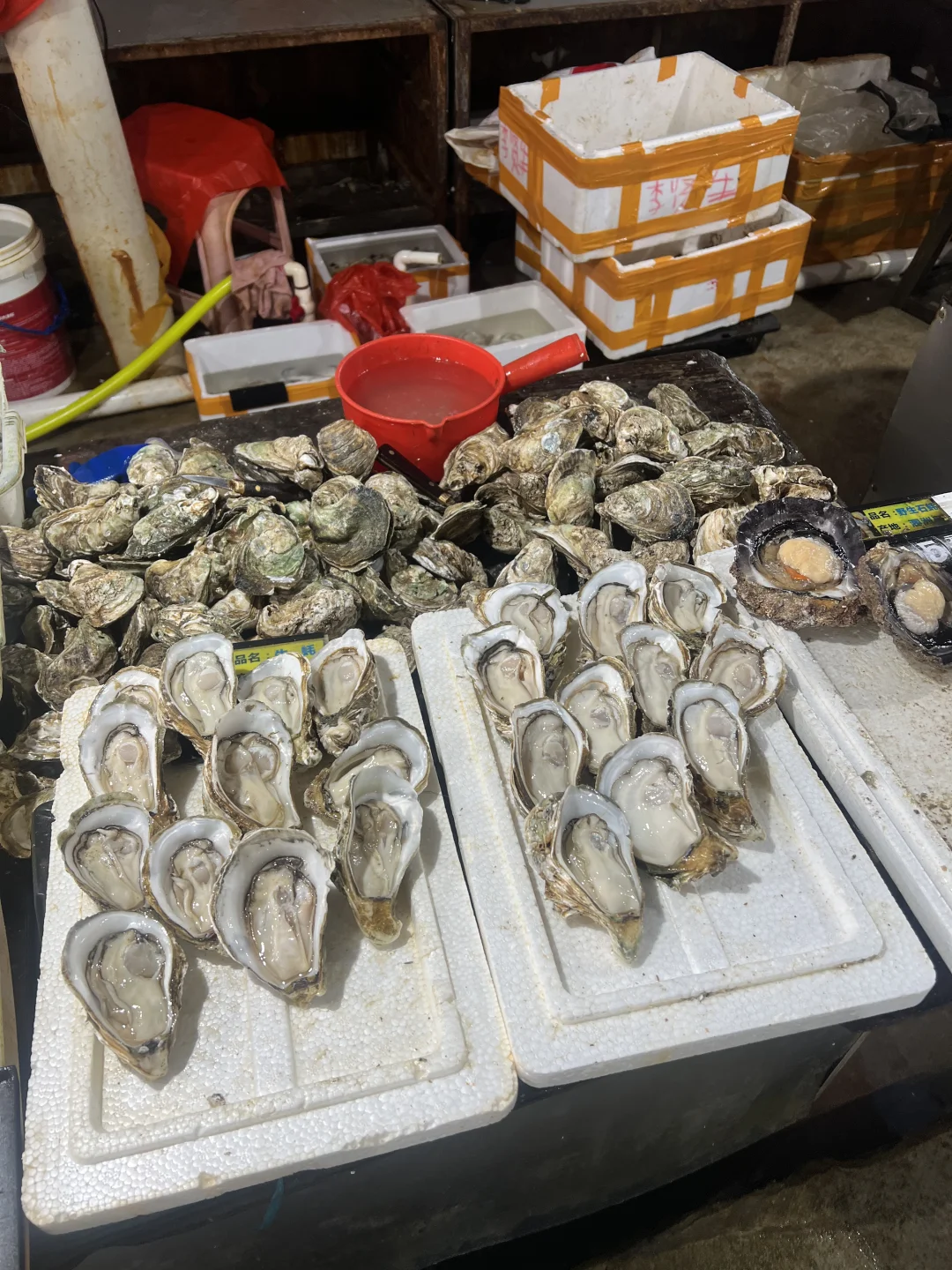 五月中下旬涠洲岛旅游大实话都在这里了！！