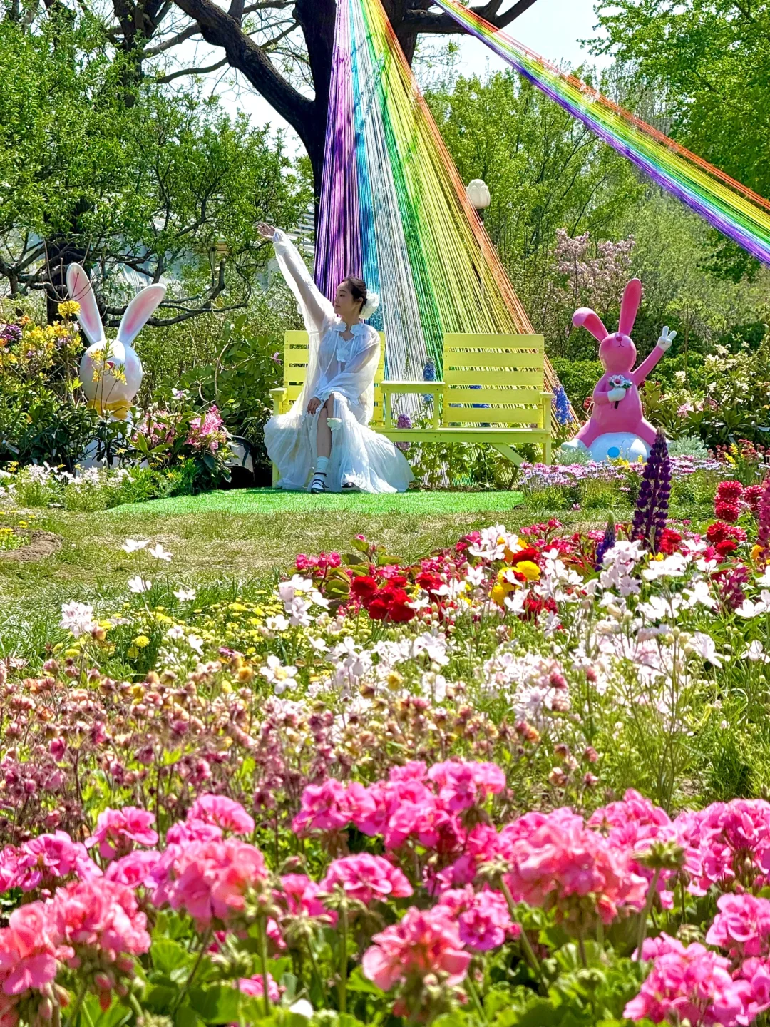 4.15实拍live，北京有自己的莫奈花园‼️