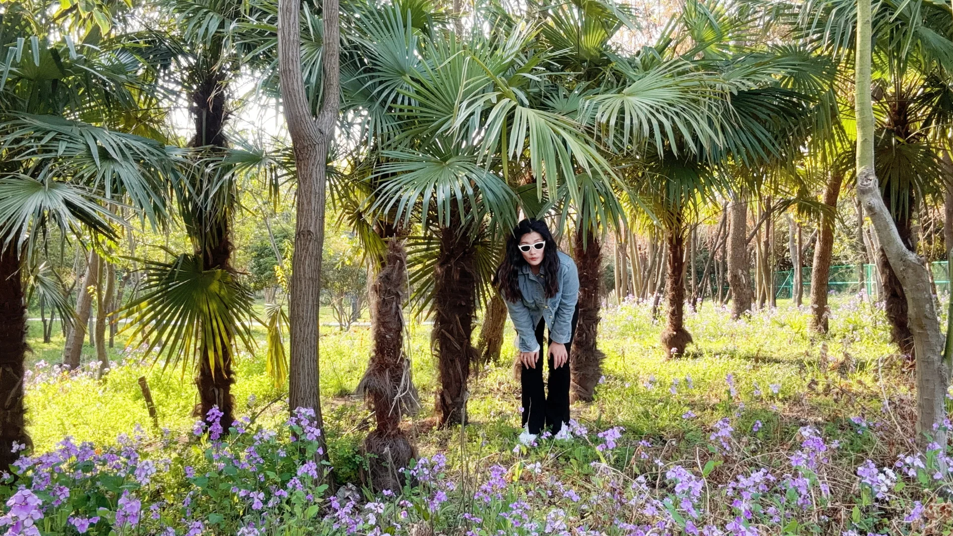 江苏｜烟花三月下扬州