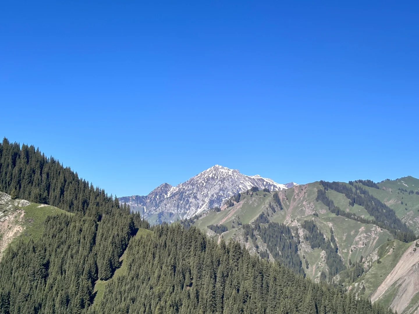 这辈子一定要去趟新疆!!!!!