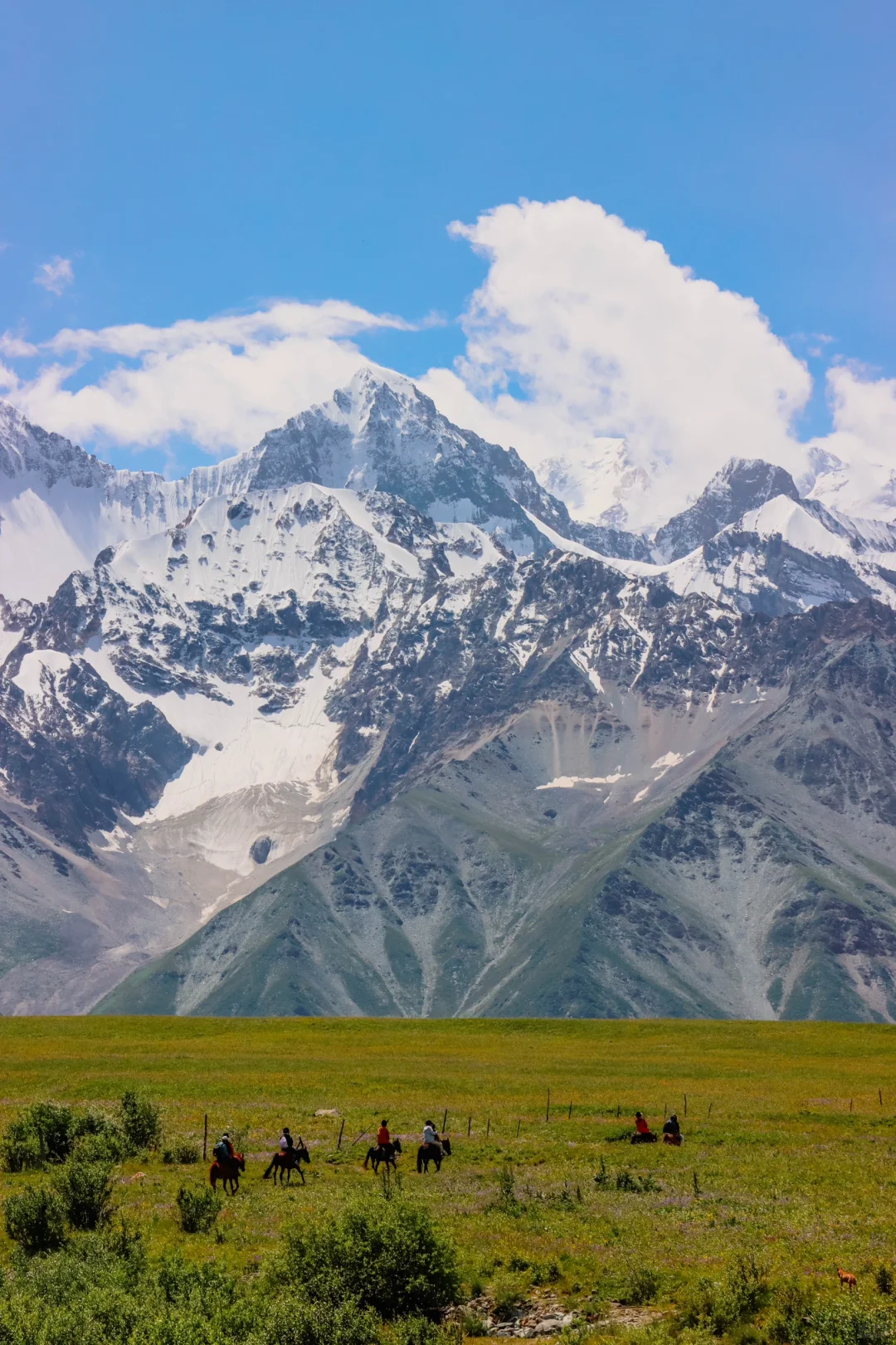 去过十几次新疆，说说我心中最美草原前三