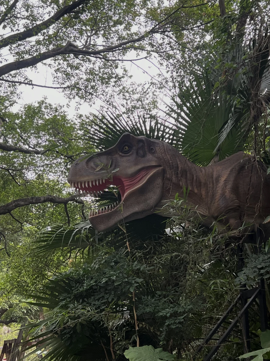 在广州，误入现实版侏罗纪公园！！太酷了！！！