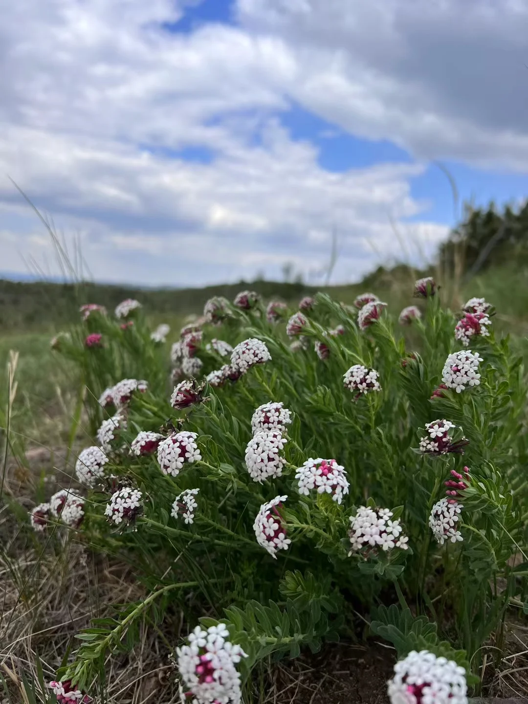 大境门越野赛最美的落日时光