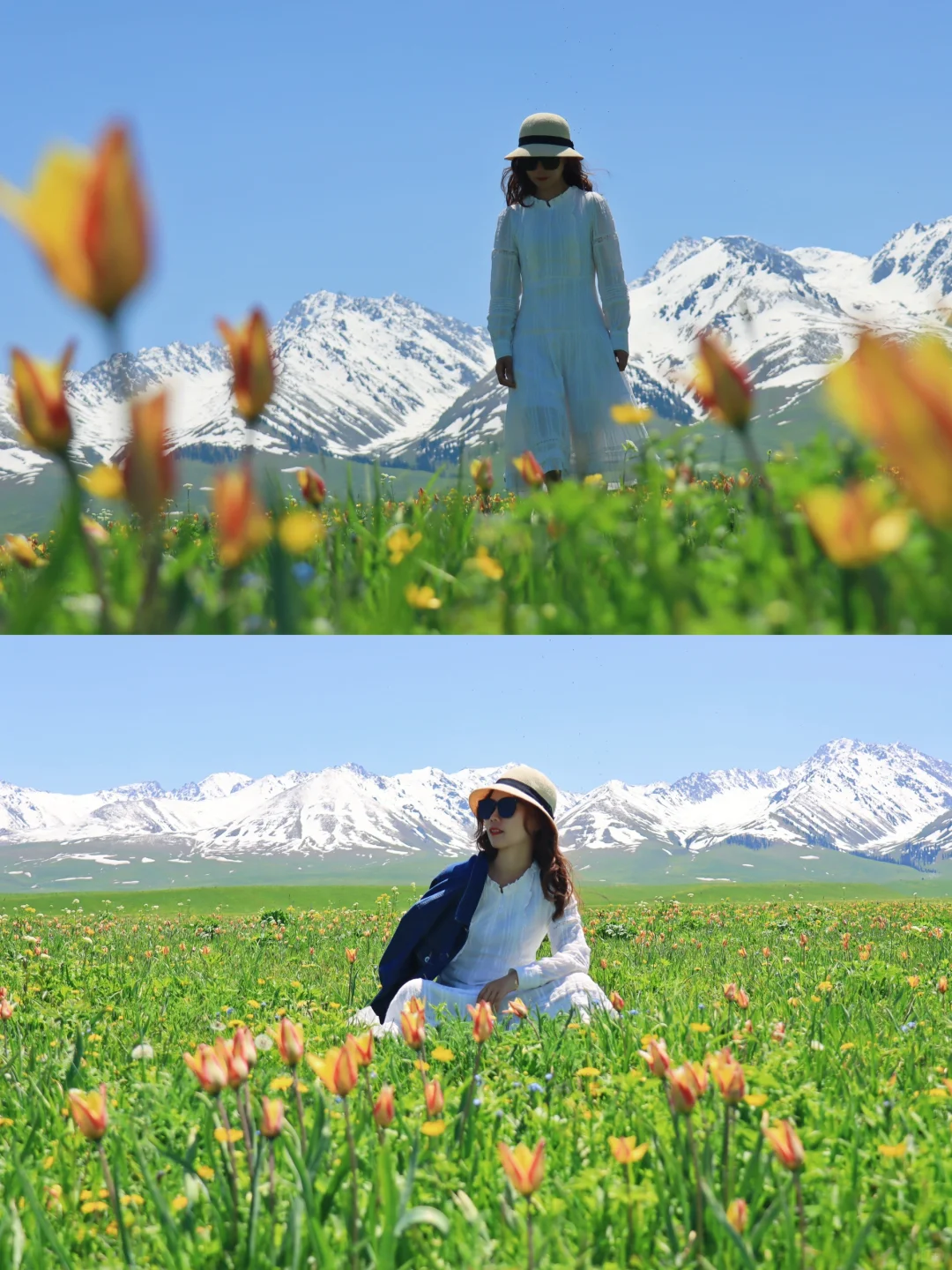 去过十几次新疆，说说我心中最美草原前三