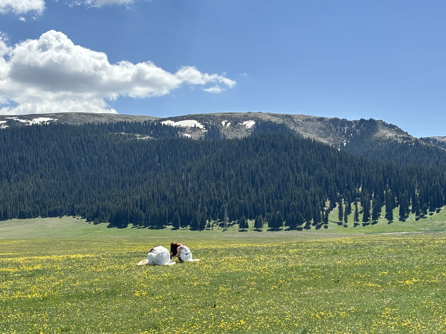 广东出发想去伊犁的可以借鉴！