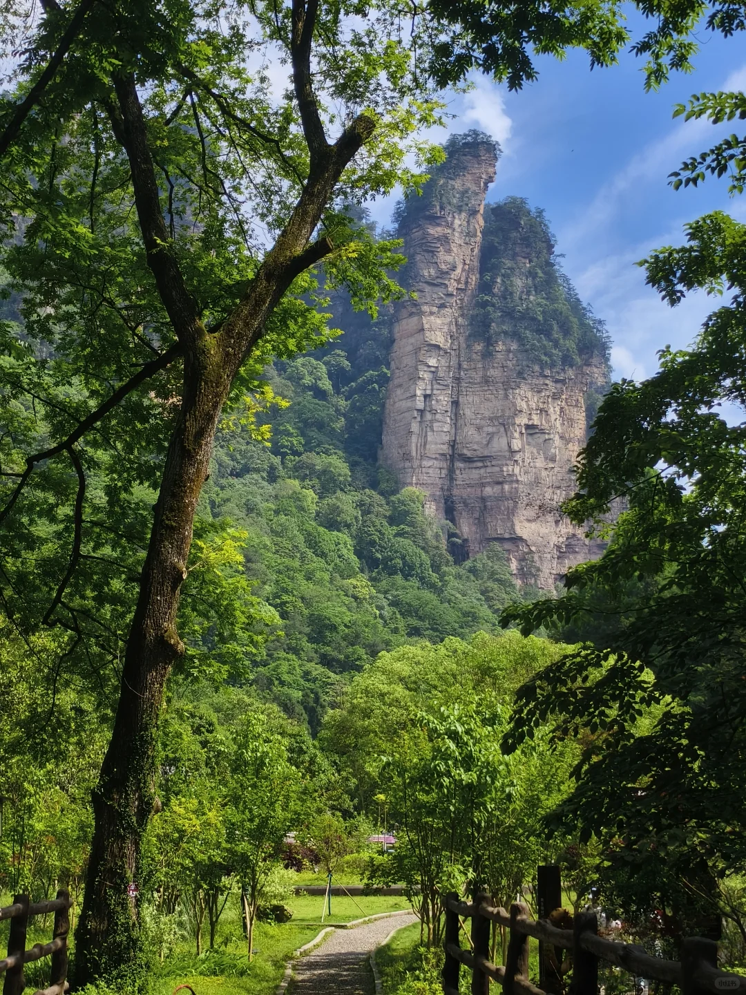 5.20森林公园南门9.30进不排队的一天
