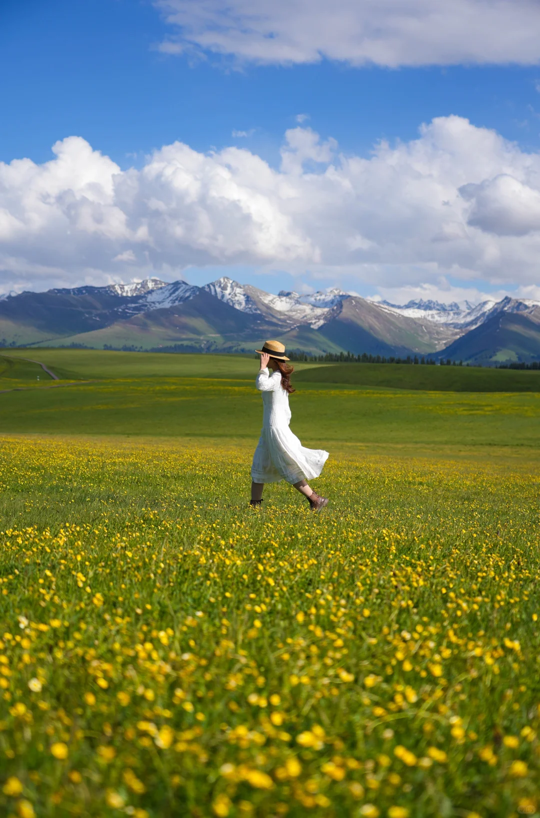 去过十几次新疆，说说我心中最美草原前三