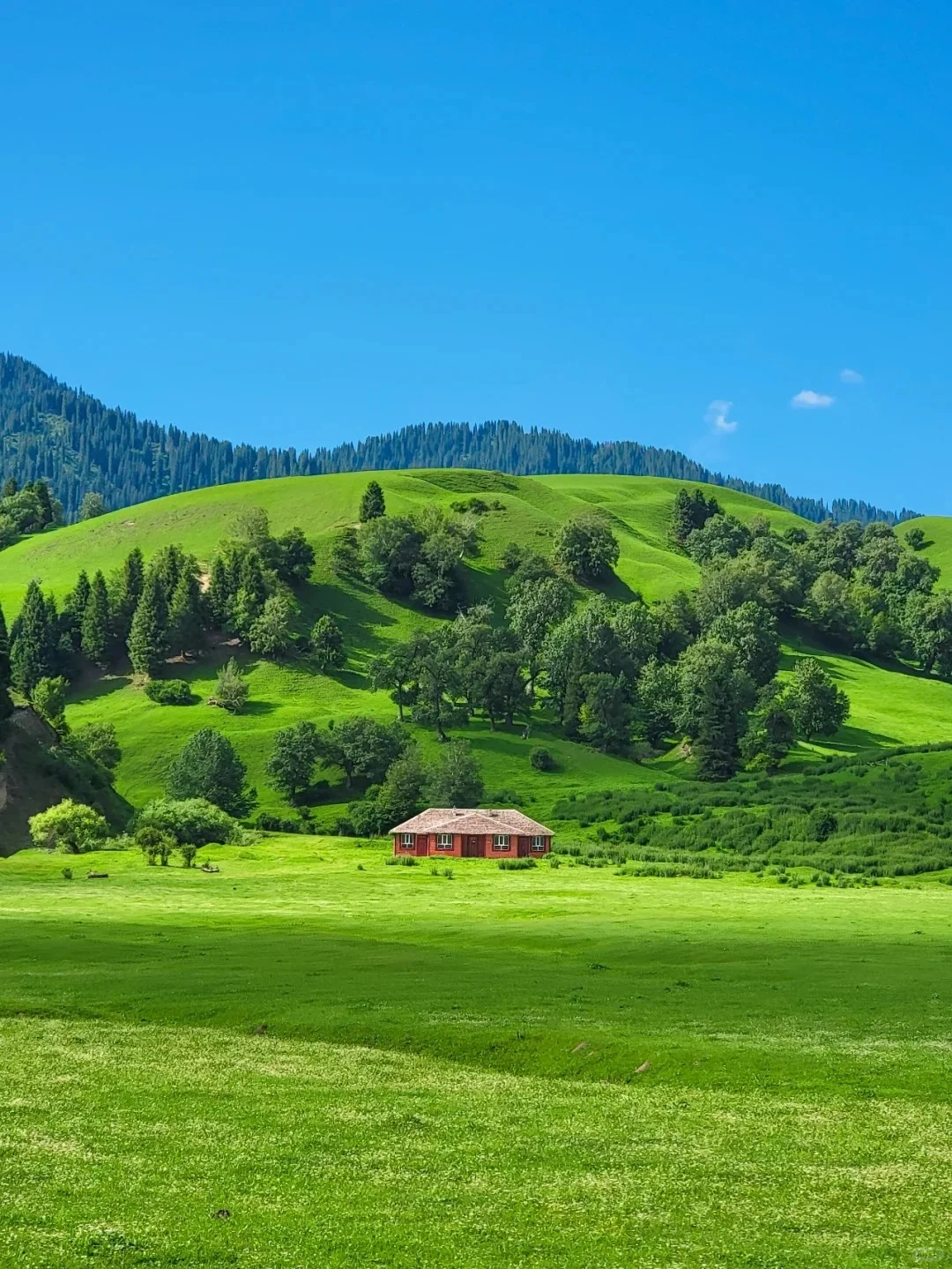 五一小长假保姆级伊犁游玩路线