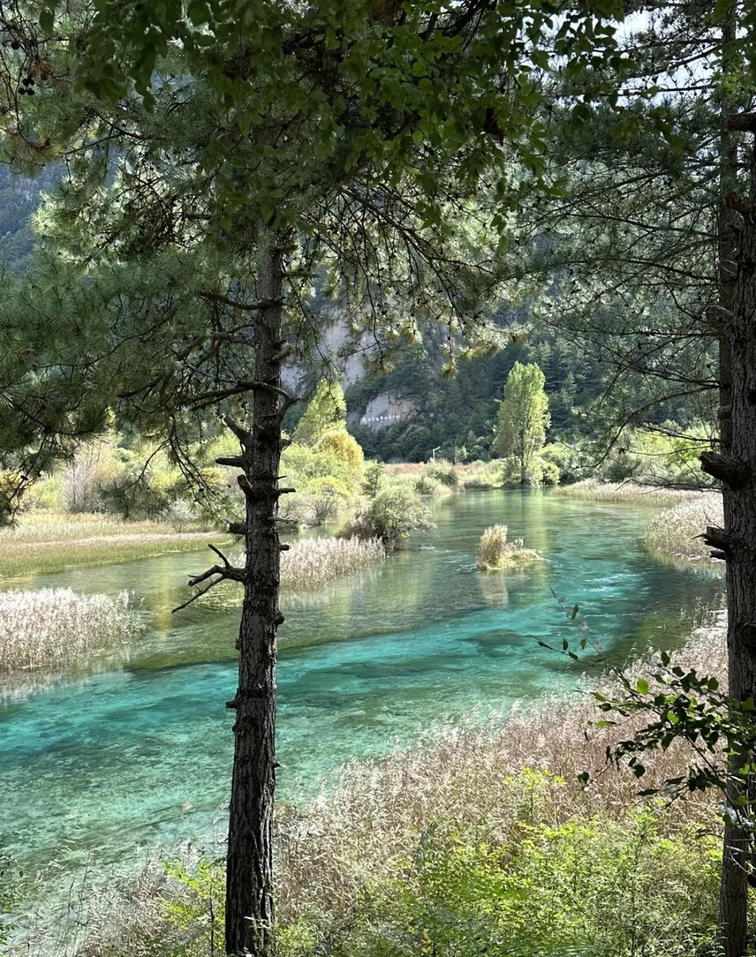 4.19 📍九寨沟 原图直出 简直美得不真实😭
