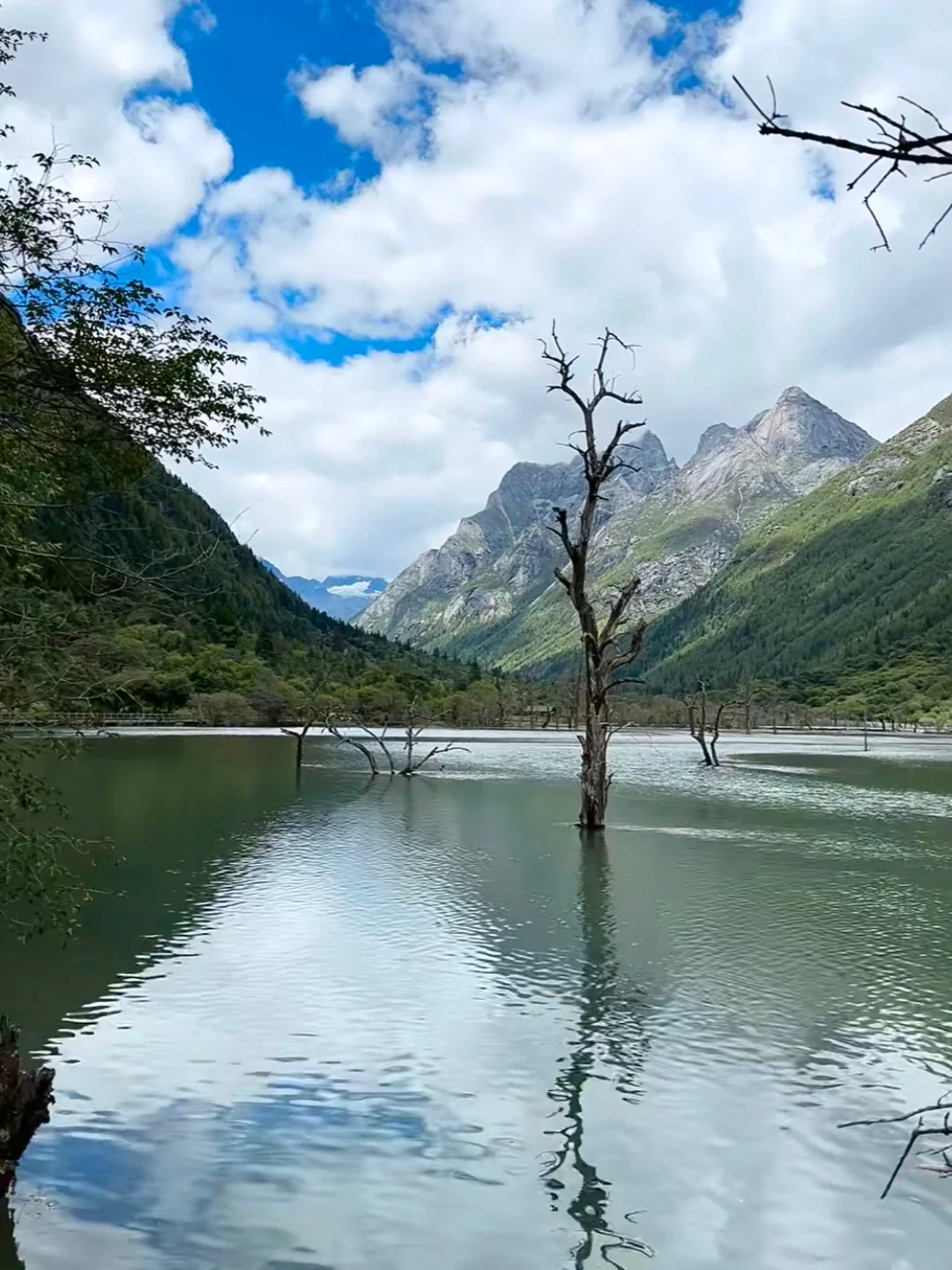 被问爆的四姑娘山攻略⛰ 带你解锁川西美景