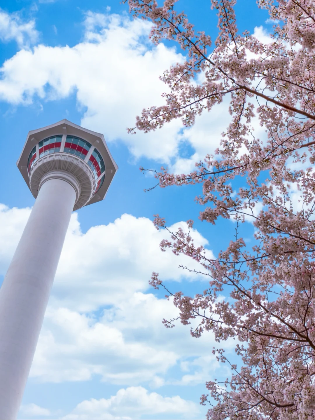 釜山比首尔好玩太多了，性价比更高！