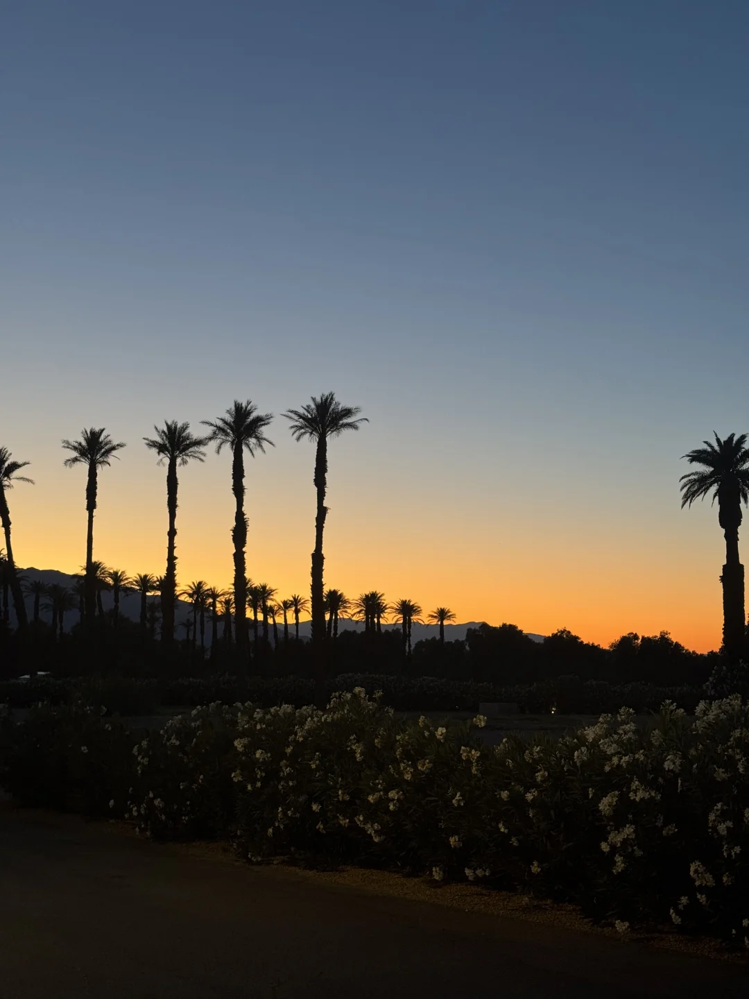 Death Valley半日速通