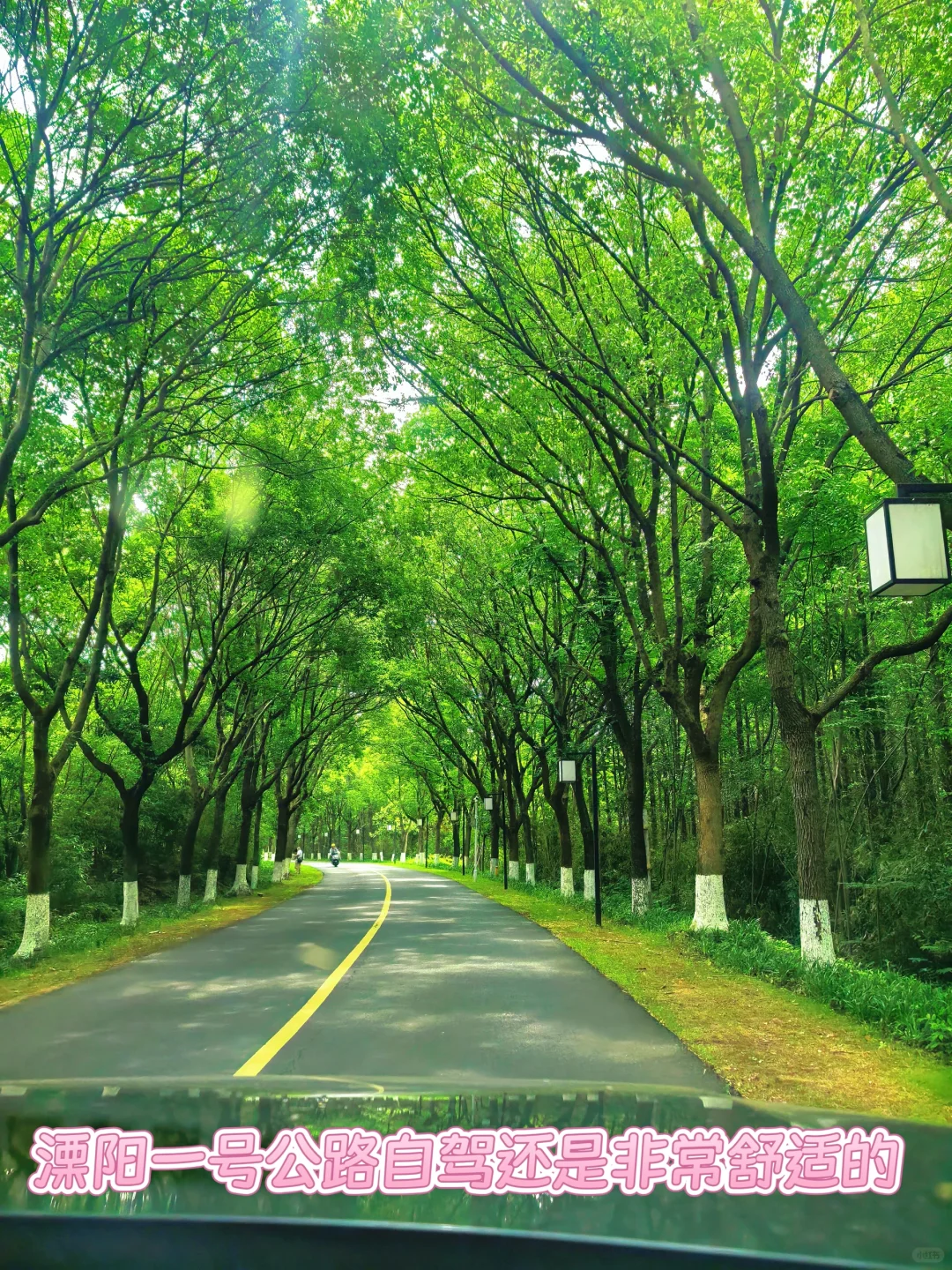 驱车 2 小时去平桥石坝,结果看到这副模样