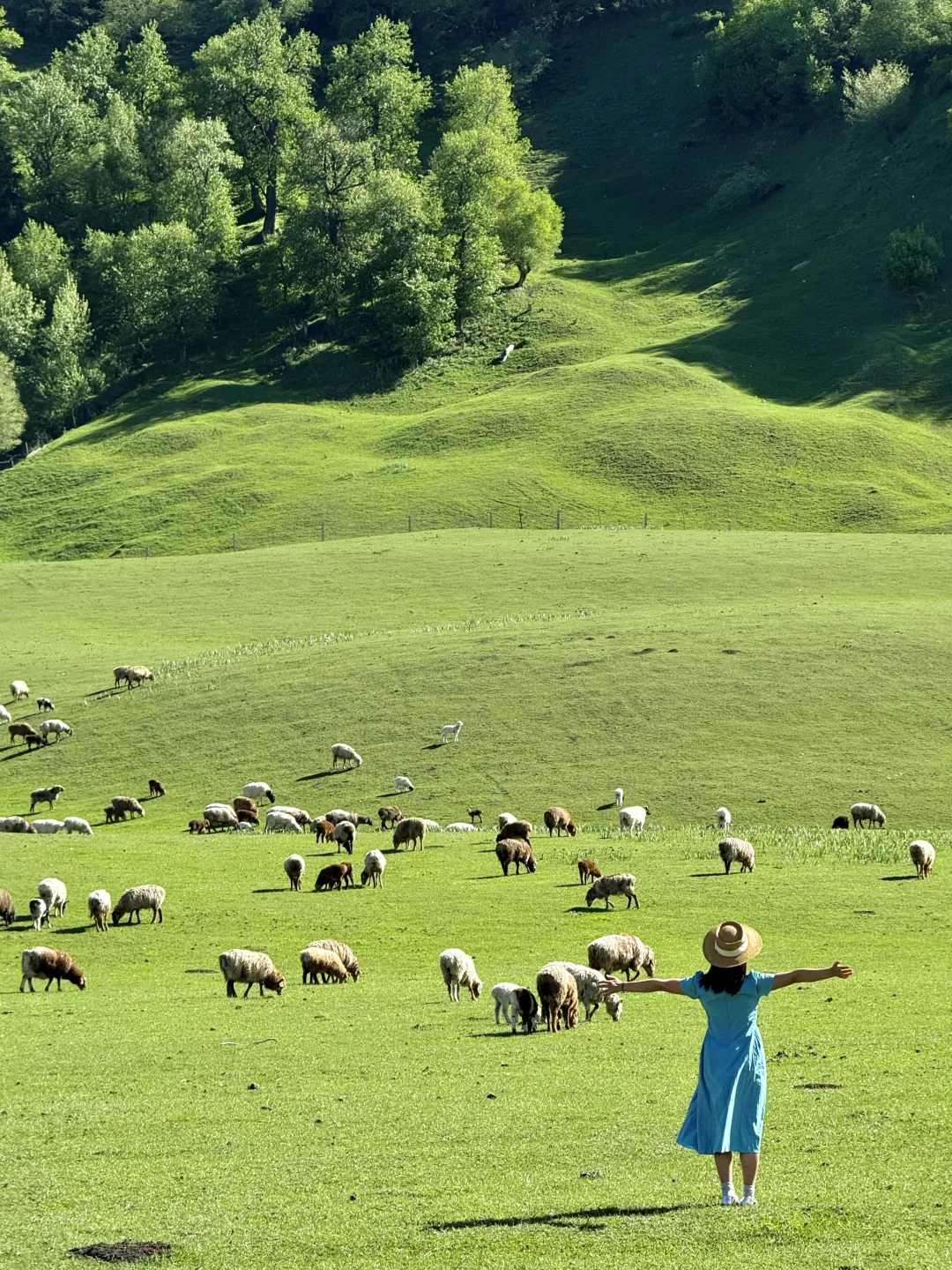 Live图的意义，我终于找到了梦中的那片草原