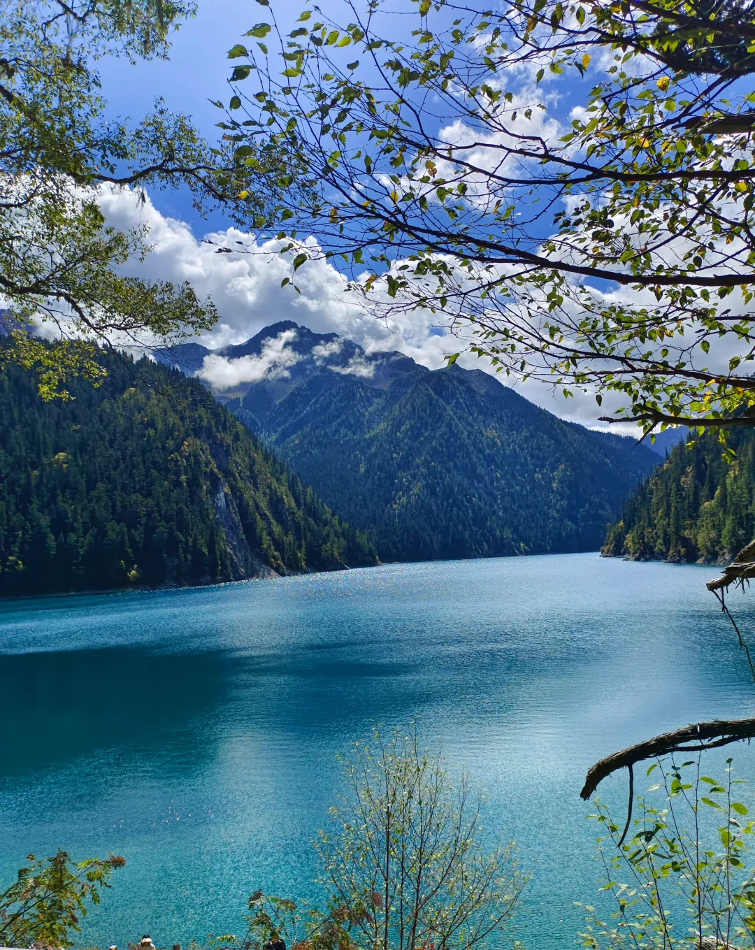 4.19 📍九寨沟 原图直出 简直美得不真实😭