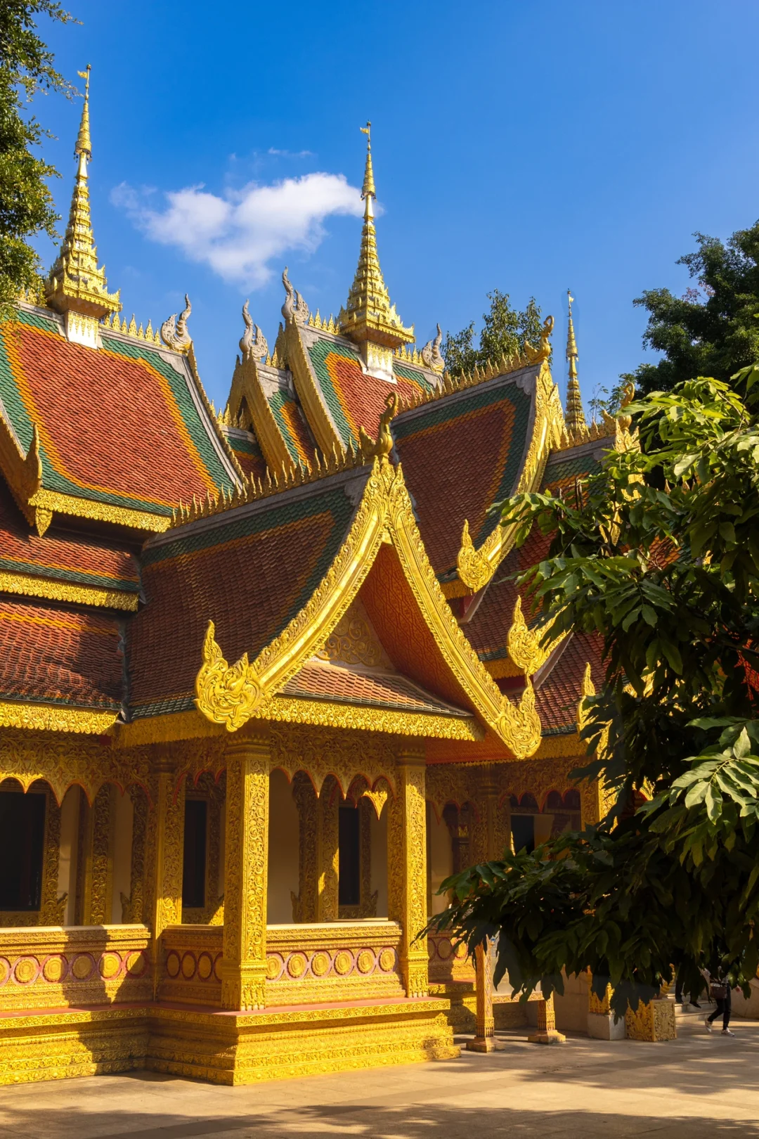 朋友圈被问爆了！这18张图都以为我在国外！