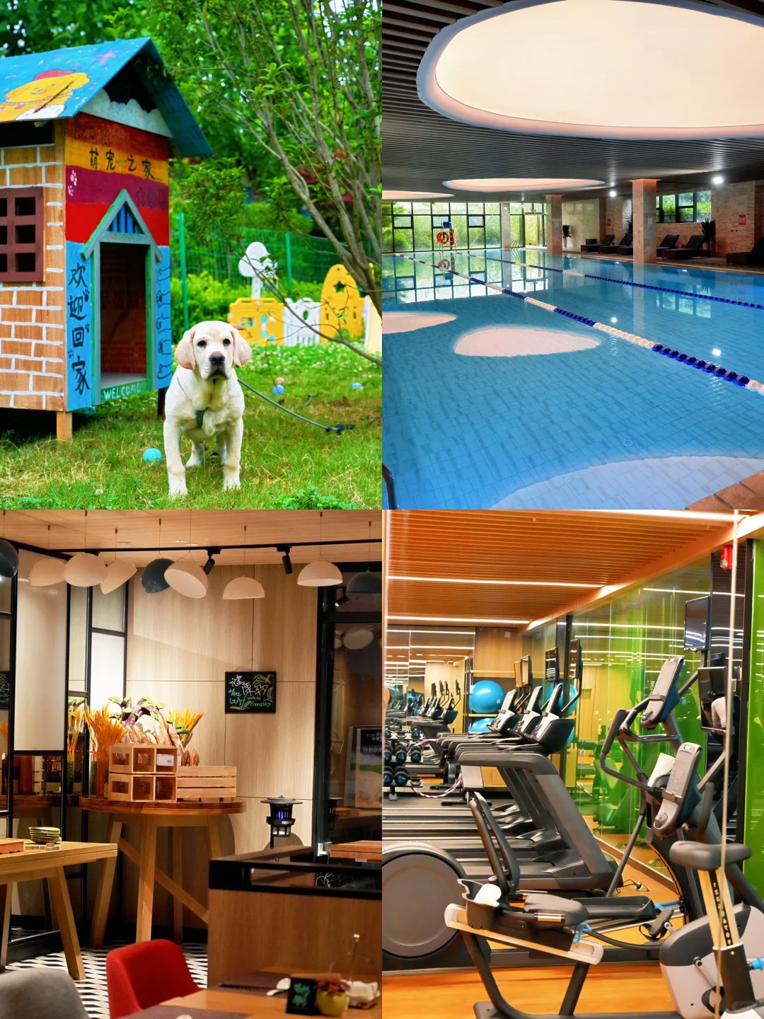 在贵阳避雷景区拍出人生照片⁉️（附游玩攻略