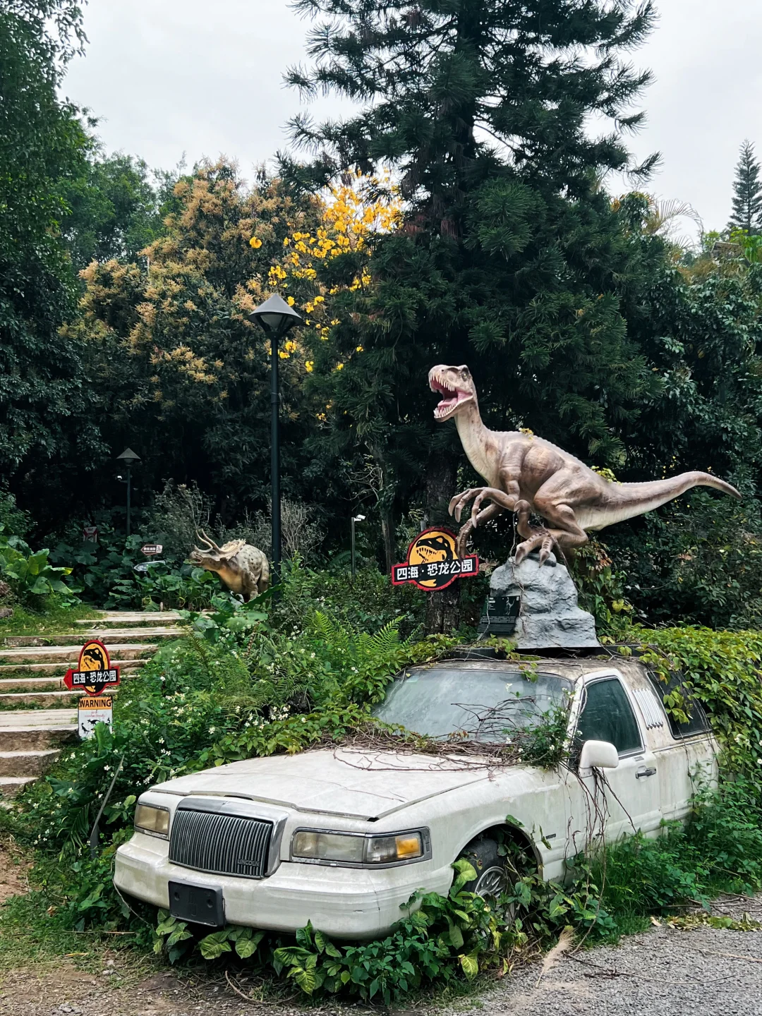 在广州，误入现实版侏罗纪公园！！太酷了！！！