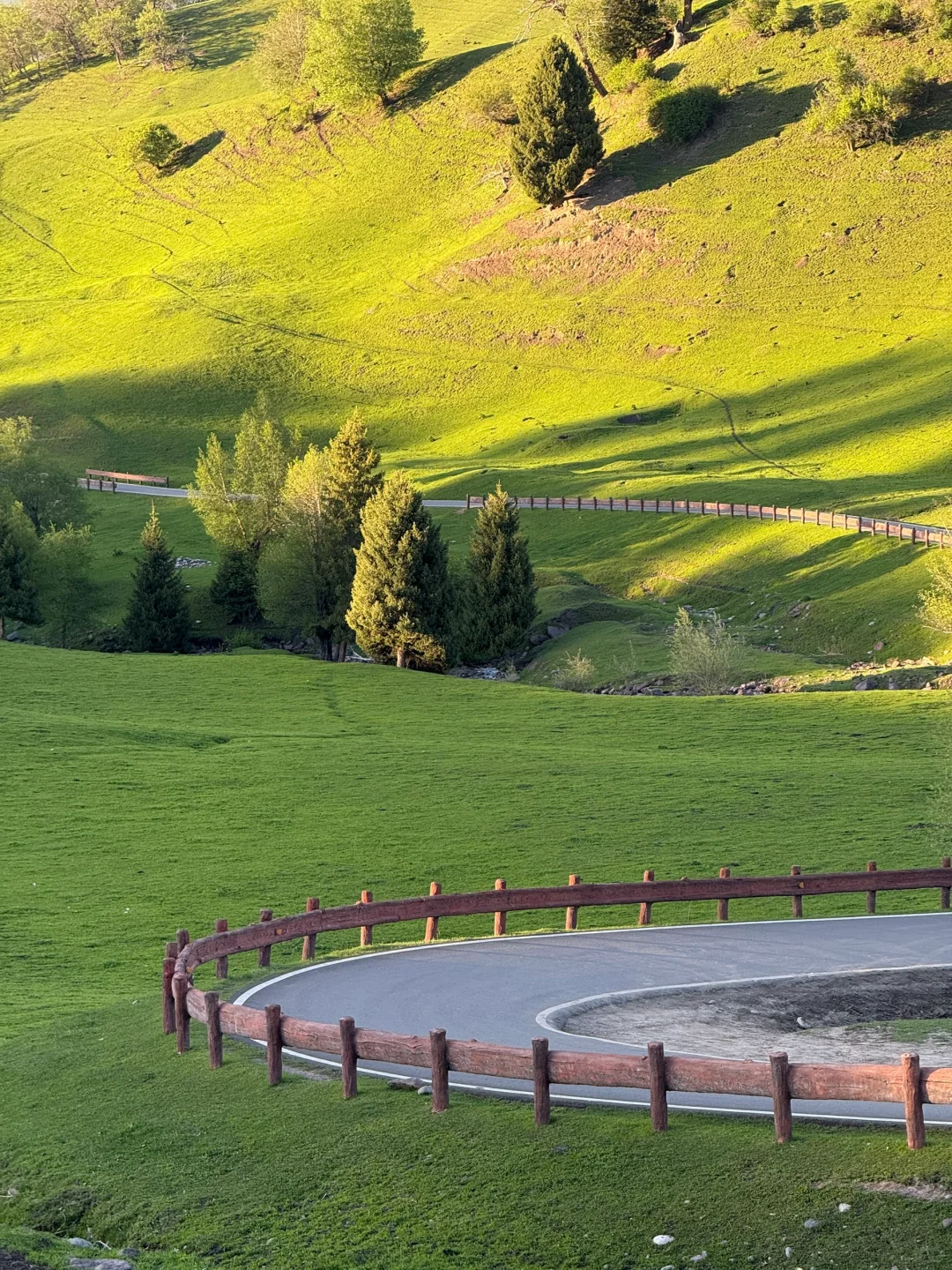 Live图的意义，我终于找到了梦中的那片草原