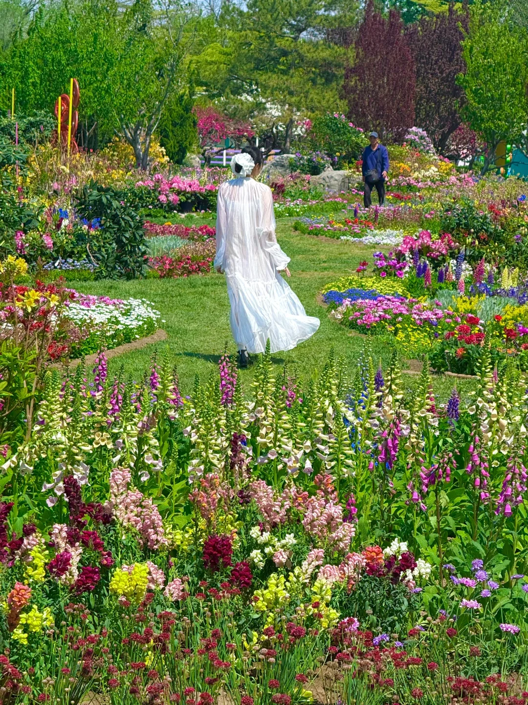 4.15实拍live，北京有自己的莫奈花园‼️