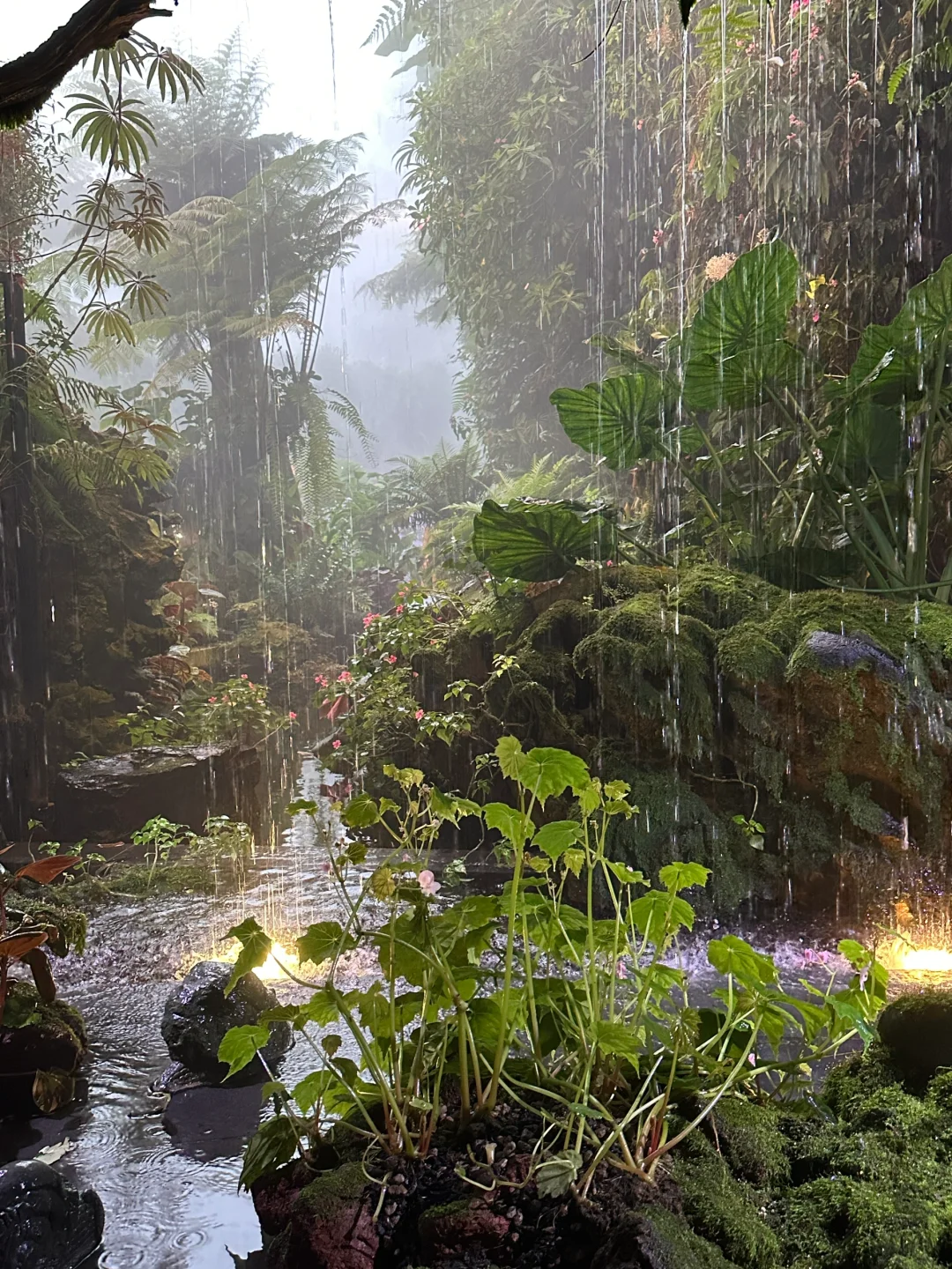 新加坡 🇸🇬📍｜Day 2⛈️