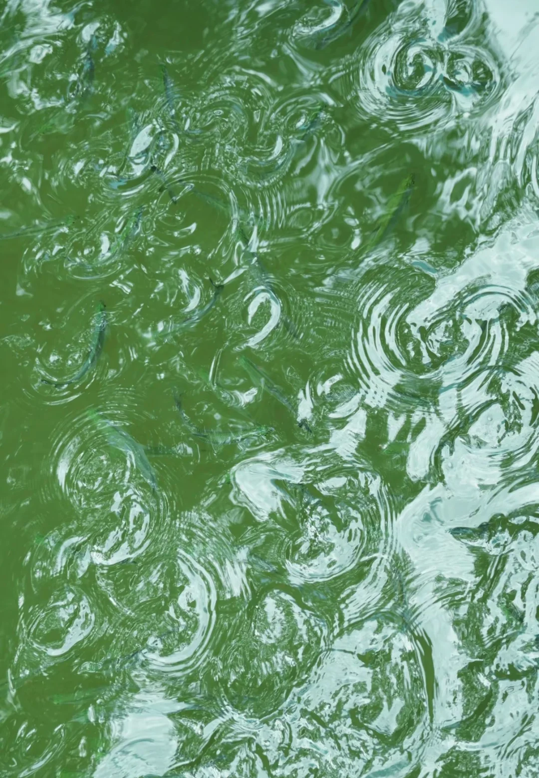 【跟着唐诗去旅行】李白篇3