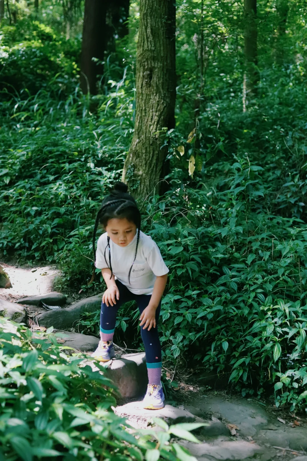 成都📍1h直达！巨凉快！不费腿避暑宝藏徒步地