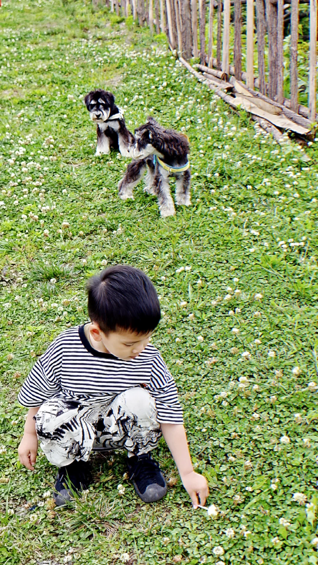 上班不如和我们一起上山⛰️