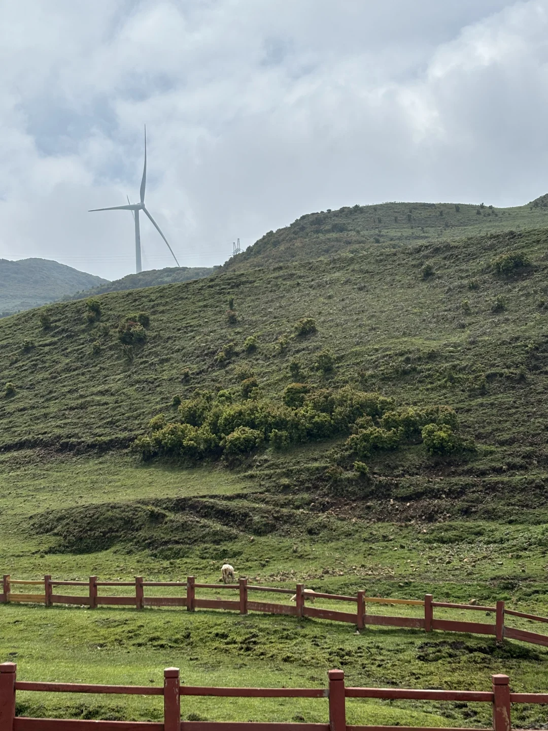 📍贵州 乌蒙大草原真太美了！