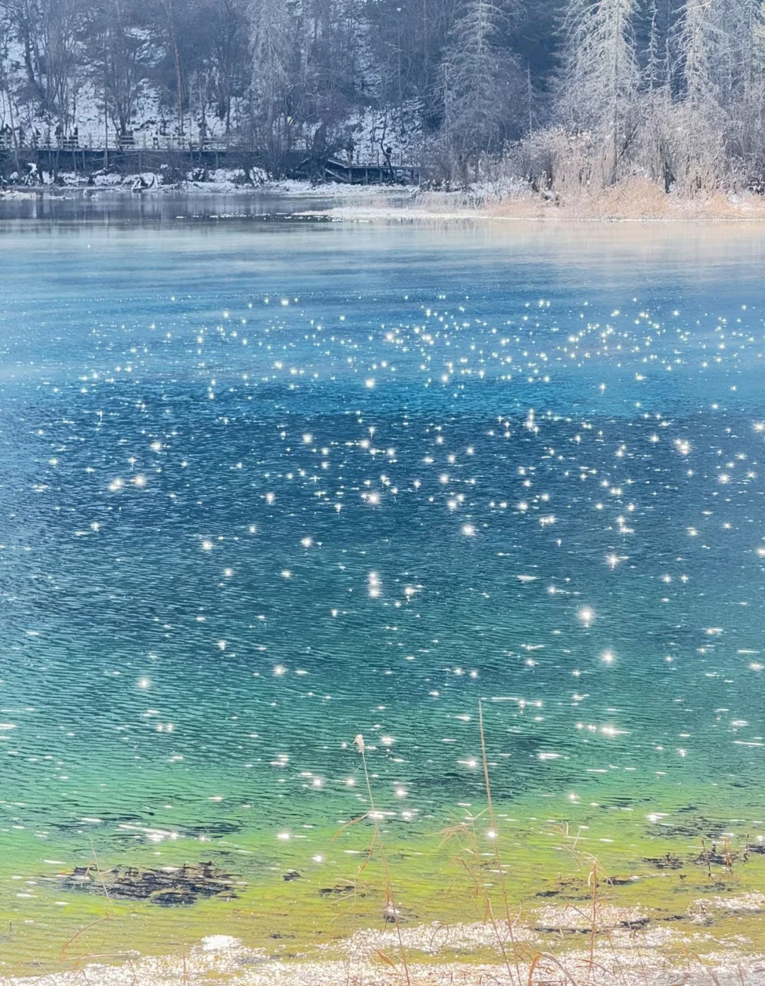 4.19 📍九寨沟 原图直出 简直美得不真实😭