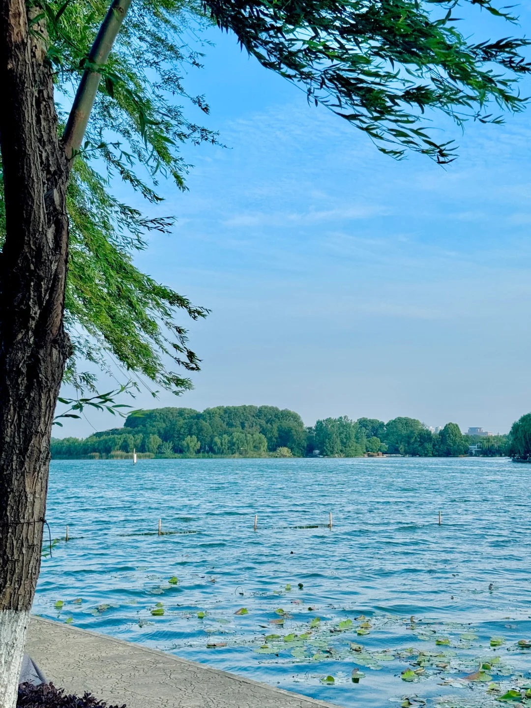 我宣布，这是南京最值得去的免费景区……