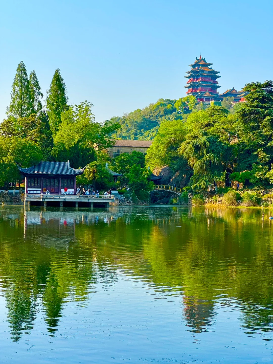 第一个发现南京这个机位的人是天才吧…