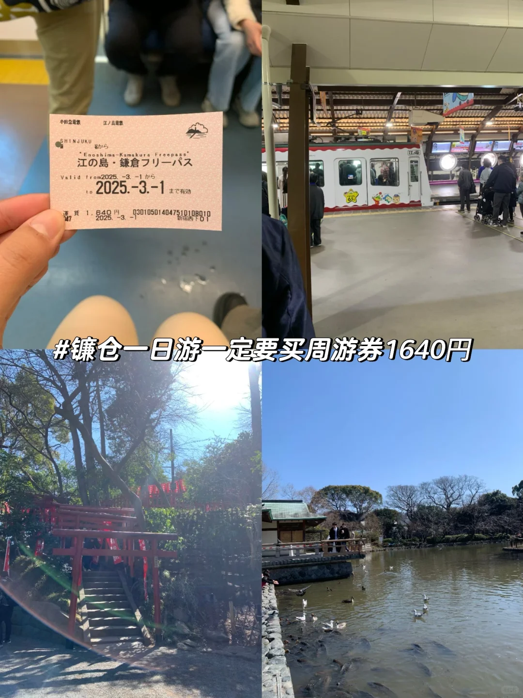 日本7天6晚自由行跟我这样玩丨省两千‼️👍