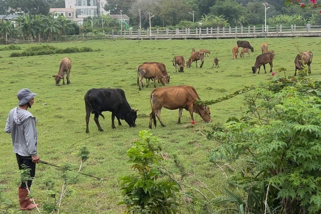 五月中下旬涠洲岛旅游大实话都在这里了！！