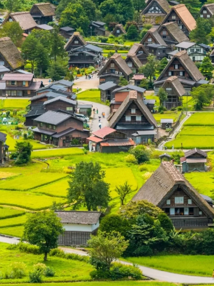 被追问爆了❗ 日本三古都六天游太惊艳了！